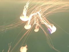 -多彩贵州城极地海洋世界