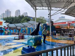 -海合安成都极地海洋公园