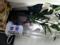 -浔岚云舍mist静谧观景美宿(丽江古城店)