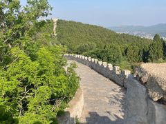 -原山国家森林公园