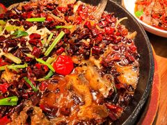 老板恋上鱼-老板恋上鱼(振华商厦店)