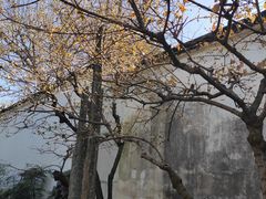 -拙政园