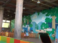 -郑州方特梦幻王国