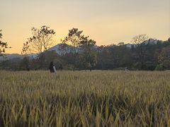-塔川景区