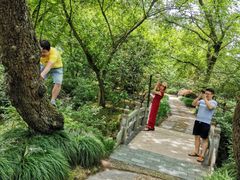 -金孔雀温泉旅游度假村