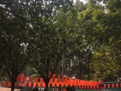 -勇士之星真人CS·团建·拓展(清水河公园店)