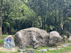 -云南勐巴娜西珍奇园