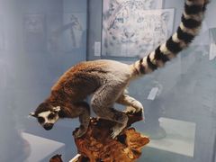 -国家自然博物馆