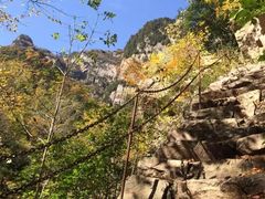 -青峰峡国家森林公园