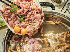 -小煵记·打边炉(西丽文光店)