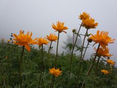 -驼梁风景区