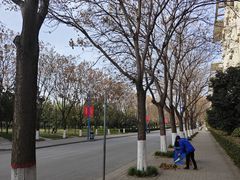 -西安外国语大学(长安校区)