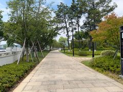 -江心屿景区