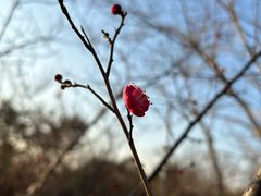 -广富林郊野公园