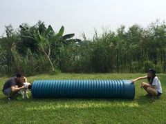 -良成狗狗乐园