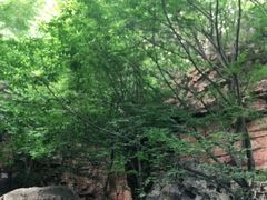 -京东石林峡风景区
