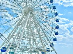 -秦皇岛乐岛海洋王国