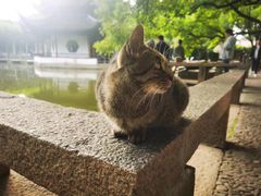 -西园戒幢律寺
