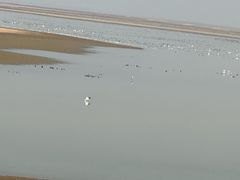 -鄱阳湖国家湿地公园