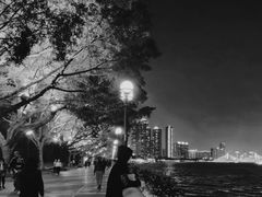 -珠江夜游广州塔·中大码头