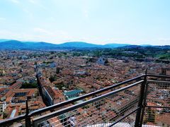 -圣母百花大教堂穹顶