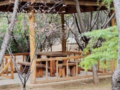 -开元溶洞