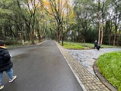 -东湖落雁景区