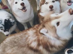 -TrueLove @ Neverland (Husky Cafe)