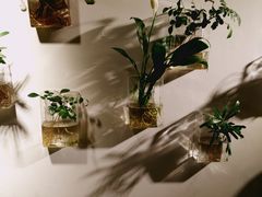 -树洞桌游宠咖小酒馆
