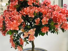 -汇龙潭