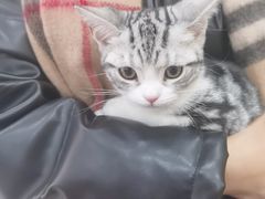 -天宠宠物医院24小时·急重症诊疗中心·全科·腔镜特色(和平分院)
