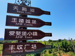 -北京张裕爱斐堡酒庄