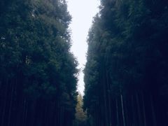 -山王坪喀斯特国家生态公园