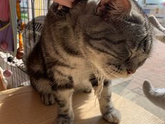 -平行世界·猫咖(首经贸店)