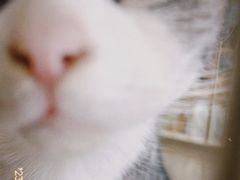 -情忆草原涮肉馆