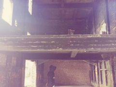 -广州市紫泥堂文化创意园景区