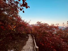 -周口店坡峰岭风景区
