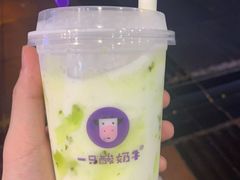 -一只酸奶牛(八一路店)