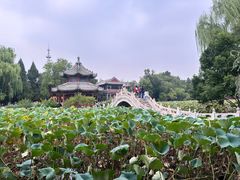 -莲池书院博物馆