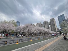 -西北湖绿化广场