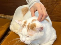 -B.O.M波姆烘焙(凤凰街店)