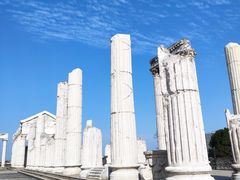 -达蓬山星梦乐园