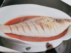 -金狮麟·新豫菜(杏石口路店)