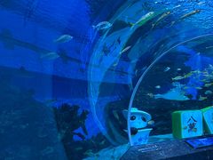 -海合安成都极地海洋公园