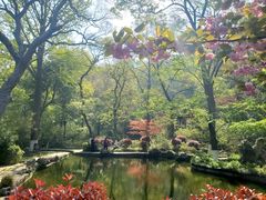 -南山风景名胜区