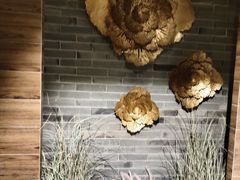 -Dragonfly 悠庭·按摩Spa(苏州中心广场店)