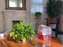 -优悦派 · 别墅轰趴馆(波西米亚风情馆店)