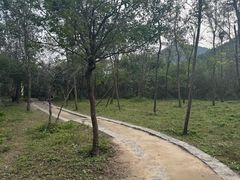 -佛慧山