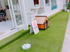 -BABYDOG宝贝狗宠物乐园(欧洲城店)