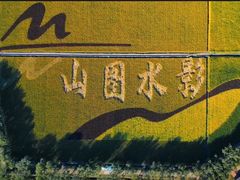 -长兴太湖图影湿地文化园